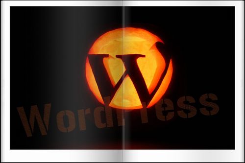 cool-wordpress-themes00 cool-wordpress-themes00